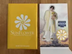 澤本夏輝　アクスタ　SUNFLOWER
