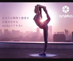 ニューバランス ヨガ エクササイズシューズ アネカ ゼロ　24cm