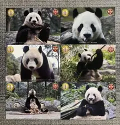 Item thumbnail for item 0b65bcf2-cdff-47db-b215-475fb703fdef