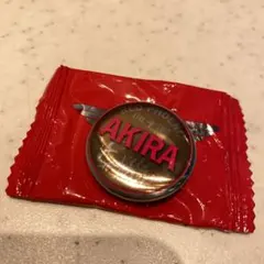 EXILEアキラ缶バッチ