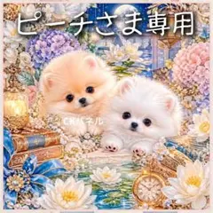 【受注制作】両面巾着袋(裏地あり)