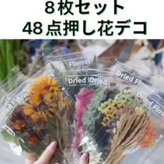 Item thumbnail for item 958ba82e-79a7-435e-8532-f024b374f9af