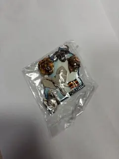 Item thumbnail for item a43fe9d9-9dd9-4916-929f-b06c5e0b1080