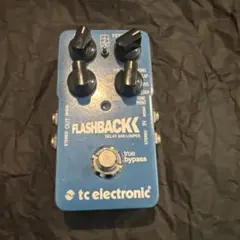 2026年最新】tc electronic flashbackの人気アイテム - メルカリ