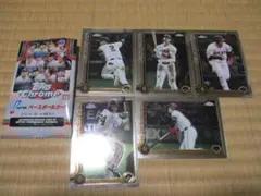 Item thumbnail for item 323da257-c1a9-4d95-99bf-2ecb68ed9a0f