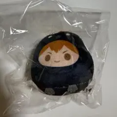 ハイキュー てのりんずコレクション マスコット 日向翔陽