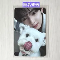 ZB1 ゼベワンNEVER SAY NEVER デジパ　封入トレカ　ユジン