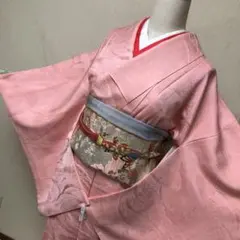 一つ紋色無地着物　華やかな袖長め　フォーマル　略礼装　長襦袢付きの2点セット