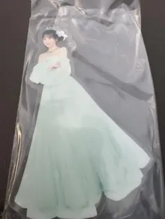 あられちゃん様 リクエスト 2点 まとめ商品
