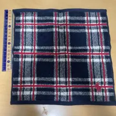 Item thumbnail for item d381e795-683c-4608-8580-0a070cb34690