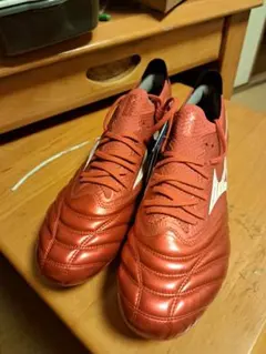 Item thumbnail for item 1fc2a6b5-a3f0-4d6e-b724-f0dfacb3e196