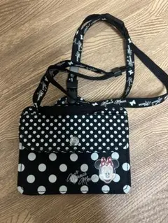 ミニーマウス 水玉模様 パスケース　ディズニーリゾート