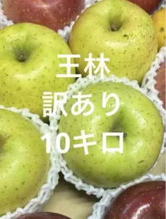 68訳あり‼️りんご 王林　10キロ