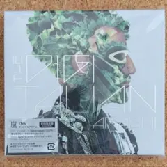 嵐 THE DIGITALIAN 初回限定盤 【CD+DVD】