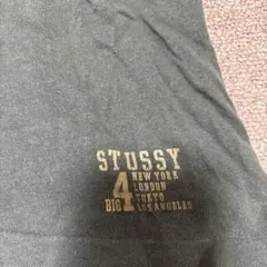 STUSSY ロンT