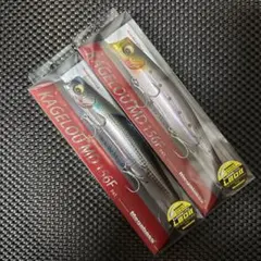 Item thumbnail for item f5a0500c-2ef8-41d4-905e-26521cdab529