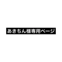 アンドコ　カメ1体
