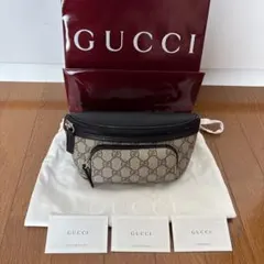 マナカオ様専用【新品・未使用・極美品】GUCCI ボディバッグ・ウエスト