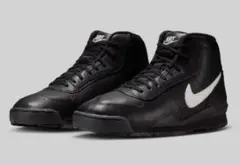 Item thumbnail for item 13a1d8cd-ed0f-4470-8789-f1b25902428d