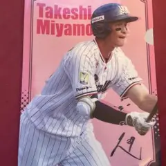 【レディーススワポン限定柄】宮本丈選手クリアファイル