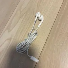 Apple EarPods with Lightning Connector