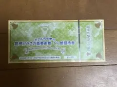 匿名配送料込⭐️特価❗️箱根ガラスの森美術館 ご入館招待券　１枚のサムネイル