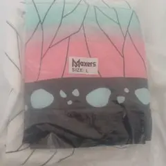 Item thumbnail for item c869ed6f-dee2-46ba-9d44-fa62a13e6c00