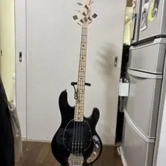 Brian by Bacchus スティングレイモデル - メルカリ