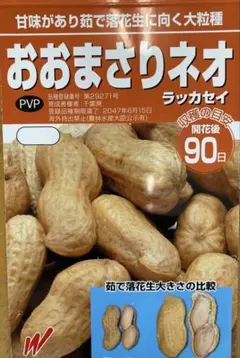 2026年最新】おおまさり 種の人気アイテム - メルカリ