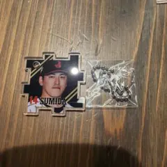 SUMIDA選手　シークレットパズル