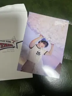 straykids 東京ドーム　トレカ　チャンビン