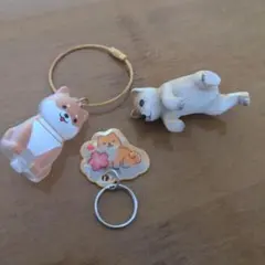 柴犬 3点セット　わんこのタイムカプセル　キーホルダー　インテリア