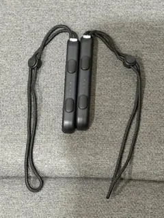 Switch ジョイコン ストラップ 2個セット