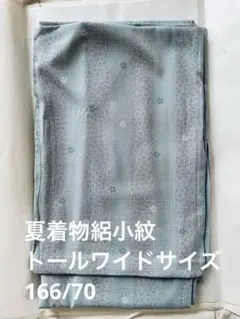 夏着物 絽小紋 着物 淡青色 花模様　正絹ワイドトール　身丈166/裄70のサムネイル