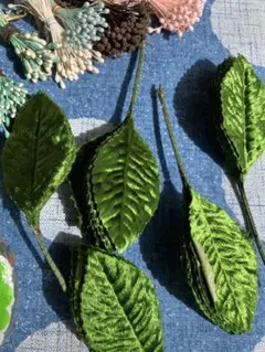 Item thumbnail for item 51e68a80-3bf3-482c-9f91-f71543a43399