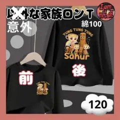 イタリアンブレインロット ロンT 綿100 意外な家族 120