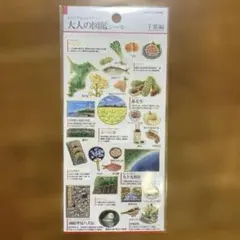 みぃshop様 リクエスト 2点 まとめ商品