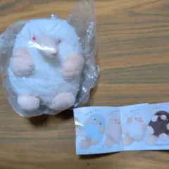 モグラッコ　ホワイト
