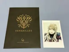 袋付き Versailles HIZAKI チェキ ベルサイユ