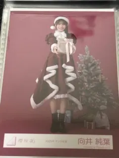 櫻坂46 生写真 向井純葉 2025年サンタ衣装 ヒキ