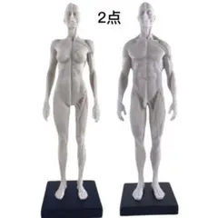 Item thumbnail for item 6226114b-8bf2-4aad-a6e9-6b49bb794b94