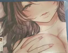 タペストリー b2