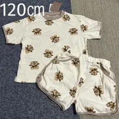 新品 未使用 セットアップ くま柄 120㎝ キッズ 女の子