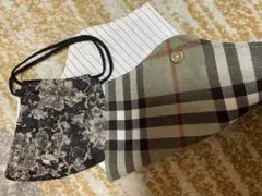 Item thumbnail for item d167a719-0fd0-4cef-b638-5123e88b0b51