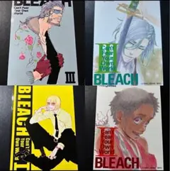 BLEACH 小説特典　ブロマイド　平子真子　京楽春水 2026年最新】bleach 小説 特典の人気アイテム - メルカリ