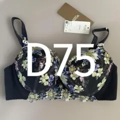 D75 ウイング/ワコール　レシアージュ　ブラジャー PB2850