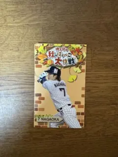 ヤクルトグッズセット