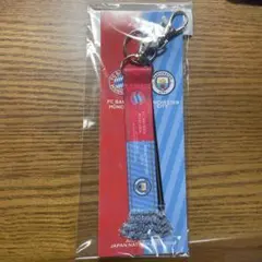 Item thumbnail for item a04dde68-3ee1-424e-875c-683658635912