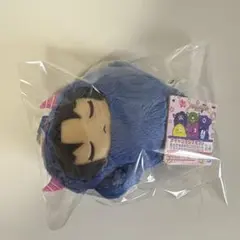 2026年最新】アイナナ おねむりパスケースの人気アイテム - メルカリ