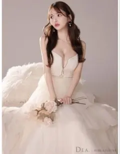 DEA. アイボリービスチェドレス 新品